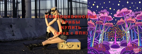 кристаллы Белокуриха